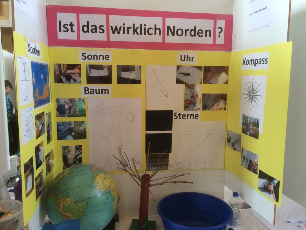 IMG 3061