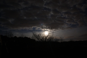 Ein Jahr Astronomische Gesellschaft Greiz 