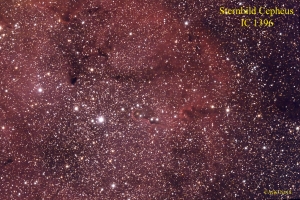 IC 1396 web 