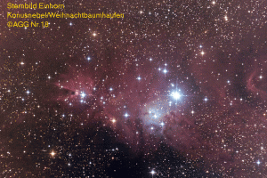 NGC 2264web 