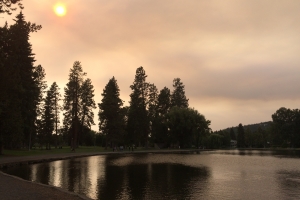 17.der Waldbrand ist ueber Bend 