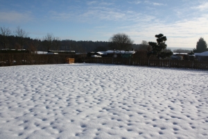 Winterliche Impression 
